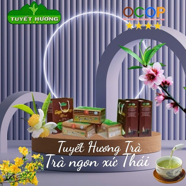 Hợp tác xã Tuyết Hương: Mô hình phát triển bền vững và nâng cao giá trị Trà Việt trong bối cảnh hội nhập kinh tế