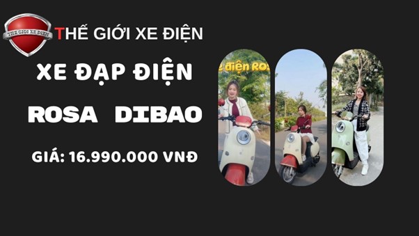 Xe đạp điện Dibao Rosa: Mẫu xe nhỏ gọn, khỏe khoắn cho nữ