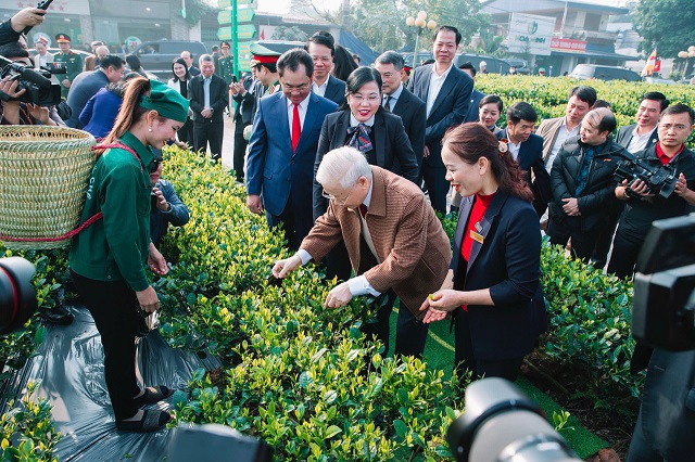 NGƯỜI PHỤ NỮ VIẾT TIẾP CÂU CHUYỆN CHÈ ĐẶC SẢN TÂN CƯƠNG THÁI NGUYÊN VIỆT NAM